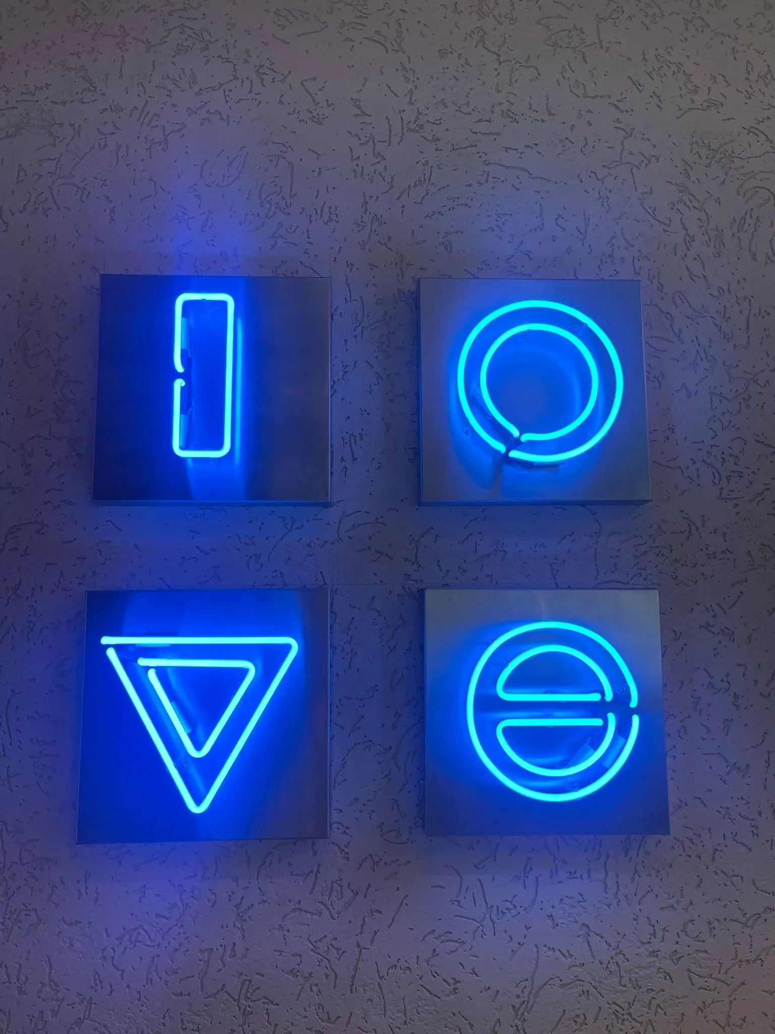 Cam Neon